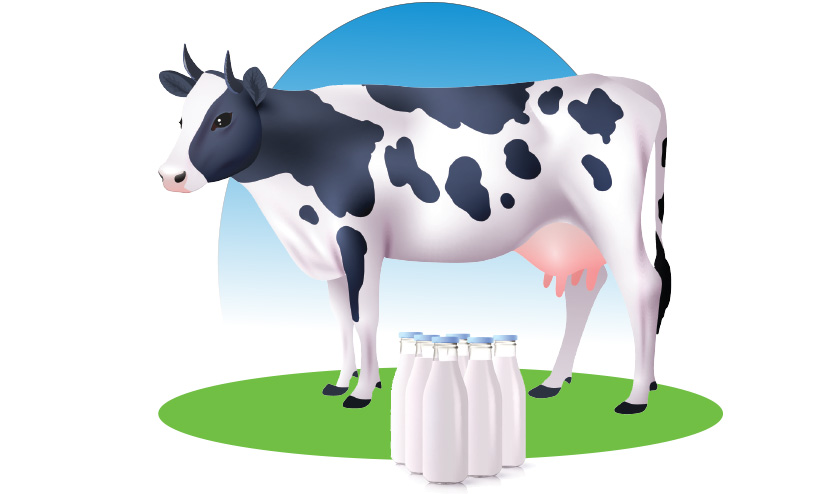 താങ്ങില്ലാതെ ക്ഷീര കർഷകർ താങ്ങില്ലാതെ ക്ഷീര കർഷകർ