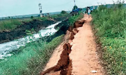 വിണ്ടുകീറി കർഷക പ്രതീക്ഷകൾ