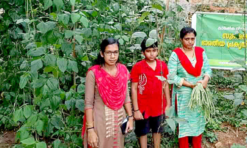 വീട്ടുവളപ്പില് വരുമാനത്തിന്റെ വസന്തം തീര്ത്ത് വീട്ടമ്മമാര് വീട്ടുവളപ്പില് വരുമാനത്തിന്റെ വസന്തം തീര്ത്ത് വീട്ടമ്മമാര്