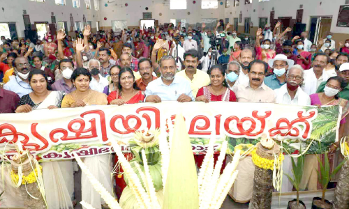 കര്ഷകരാണ് ഏറ്റവും വലിയ സെലിബ്രിറ്റികള് -മന്ത്രി പി. പ്രസാദ് കര്ഷകരാണ് ഏറ്റവും വലിയ സെലിബ്രിറ്റികള് -മന്ത്രി പി. പ്രസാദ്