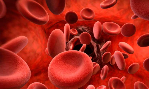 താലൂക്ക് ആശുപത്രിയിൽ മരുന്നില്ല; ഹീമോഫീലിയ രോഗികൾ പ്രയാസത്തിൽ താലൂക്ക് ആശുപത്രിയിൽ മരുന്നില്ല; ഹീമോഫീലിയ രോഗികൾ പ്രയാസത്തിൽ