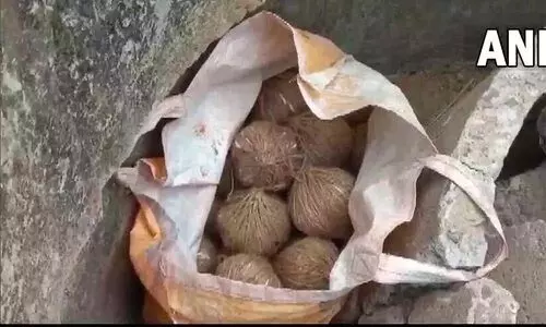 ബിർഭും ആക്രമണം നടന്ന സിക്കന്ദപൂരിൽ വീണ്ടും ബോംബുകൾ കണ്ടെത്തി