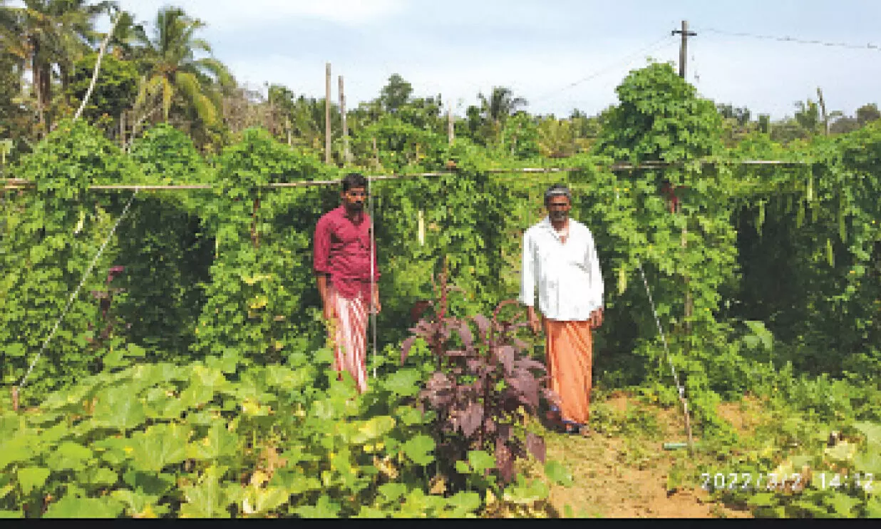 രാഘവനും ഗണേശനും പറയുന്നു; മനസ്സുവെച്ചാൽ വയലും മനസ്സും നിറയും രാഘവനും ഗണേശനും പറയുന്നു; മനസ്സുവെച്ചാൽ വയലും മനസ്സും നിറയും