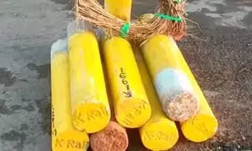 കെ റെയിൽ വി​ജ്ഞാ​പ​ന​ത്തി​ന് മു​മ്പേ ക​ല്ലു​ക​ള്‍ക്ക് ക​രാ​ര്‍ ന​ല്‍കി​യ​തി​ന്‍റെ രേ​ഖ​ക​ൾ പു​റ​ത്ത്