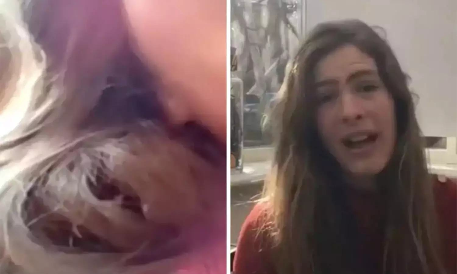 പക്ഷിക്കുഞ്ഞ് തന്‍റെ മുടിയിൽ കൂടുകൂട്ടിയെന്ന് യുവതി; അതും 84 ദിവസം!