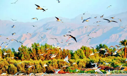 റാസല്‍ഖൈമയില്‍ നൂതന വിനോദപദ്ധതികൾ