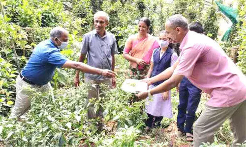സ്കൂളിനകത്ത് ഓഫിസ് ജോലി; പുറത്ത് പച്ചക്കറി കൃഷി