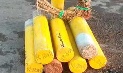 കെ റെയിൽ വി​ജ്ഞാ​പ​ന​ത്തി​ന് മു​മ്പേ ക​ല്ലു​ക​ള്‍ക്ക് ക​രാ​ര്‍ ന​ല്‍കി​യ​തി​ന്‍റെ രേ​ഖ​ക​ൾ പു​റ​ത്ത്