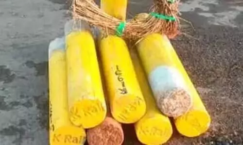 കെ റെയിൽ വി​ജ്ഞാ​പ​ന​ത്തി​ന് മു​മ്പേ ക​ല്ലു​ക​ള്‍ക്ക് ക​രാ​ര്‍ ന​ല്‍കി​യ​തി​ന്‍റെ രേ​ഖ​ക​ൾ പു​റ​ത്ത്