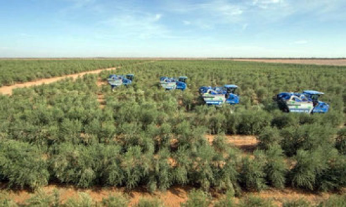 green saudi initiative