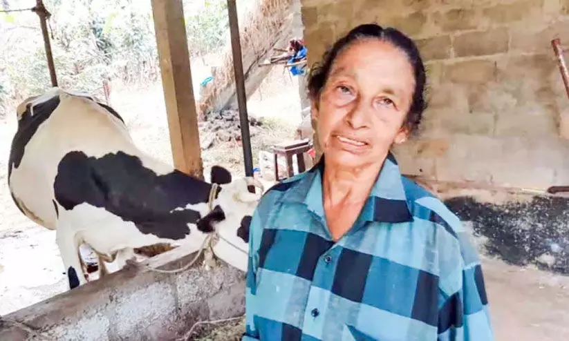 mariyakkutti mariyakkutti