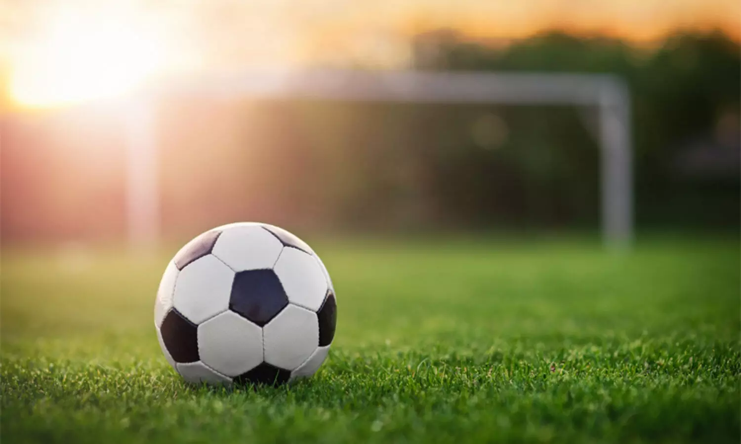 കേരളാ ബ്ലാസ്റ്റേഴ്‌സ് ഫുട്ബോൾ അക്കാദമി പാലായിൽ