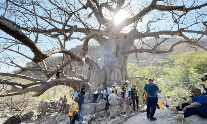ടൂറിസം പ്രോത്സാഹനം: മലകയറ്റവുമായി ആർദ് അലോബൻ ടൂറിസം പ്രോത്സാഹനം: മലകയറ്റവുമായി ആർദ് അലോബൻ