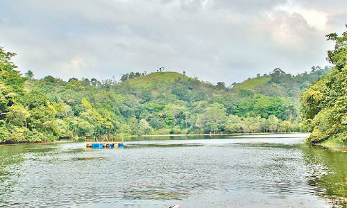 pookode lake pookode lake