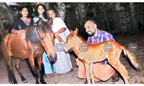 Kattiparambil aneesh