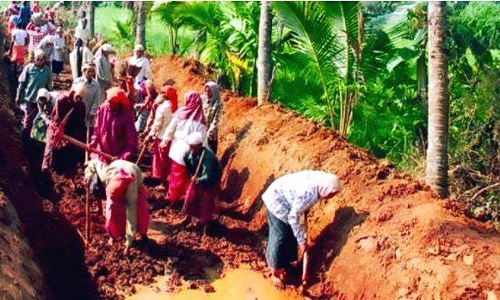 തൊഴിലുറപ്പ് തൊഴിലാളി ക്ഷേമനിധി: കരട് ചട്ടങ്ങള്‍ തയാറാകുന്നു -മന്ത്രി