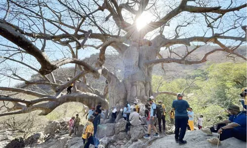 ടൂറിസം പ്രോത്സാഹനം: മലകയറ്റവുമായി ആർദ് അലോബൻ ടൂറിസം പ്രോത്സാഹനം: മലകയറ്റവുമായി ആർദ് അലോബൻ