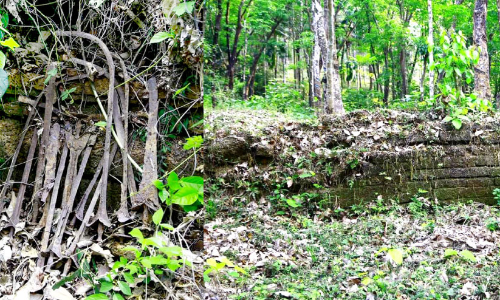 കാടെടുക്കുന്നു, മന്ദനാർ രാജവംശ ശേഷിപ്പുകൾ: നശിക്കുന്നത് ഏക തീയ്യ രാജവംശത്തിെൻറ സ്മാരകം കാടെടുക്കുന്നു, മന്ദനാർ രാജവംശ ശേഷിപ്പുകൾ: നശിക്കുന്നത് ഏക തീയ്യ രാജവംശത്തിെൻറ സ്മാരകം