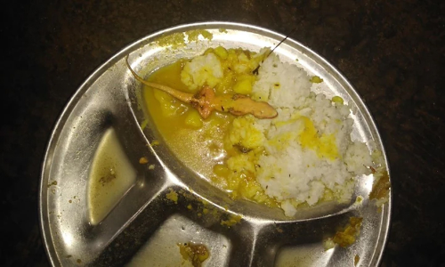 ബിഹാറിൽ സർക്കാർ സ്കൂളിലെ ഉച്ച ഭക്ഷണത്തിൽ ചത്ത പല്ലി