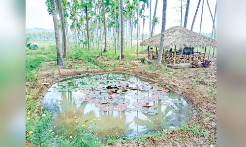 ചേകാടി സ്​ട്രീറ്റ്​ ടൂറിസം: പ്രതീക്ഷയിൽ ആദിവാസികൾ