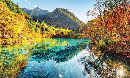 five flower lake china