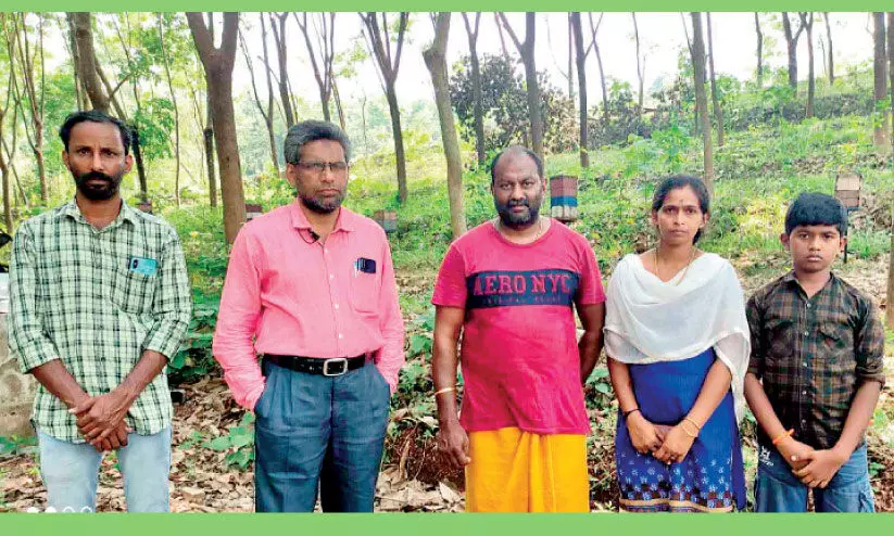 തേനീച്ച കൃഷിയുടെ വിജയവഴിയിൽ പ്രിൻസി