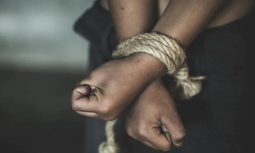 നാലുവയസ്സുകാരിയെ തട്ടിക്കൊണ്ടുപോയ കേസിൽ പ്രതികൾക്ക്‌ ഏഴുവർഷം തടവ്​