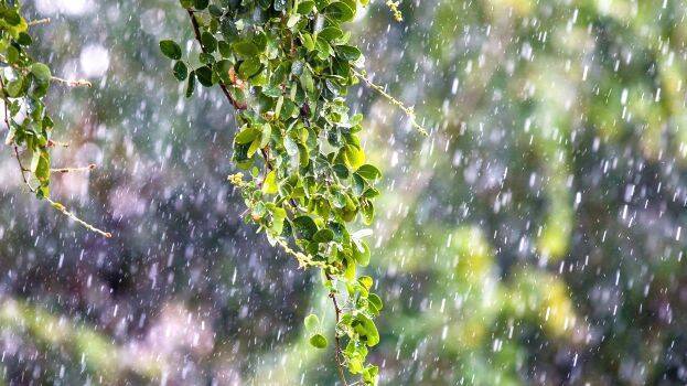 summer rains summer rains