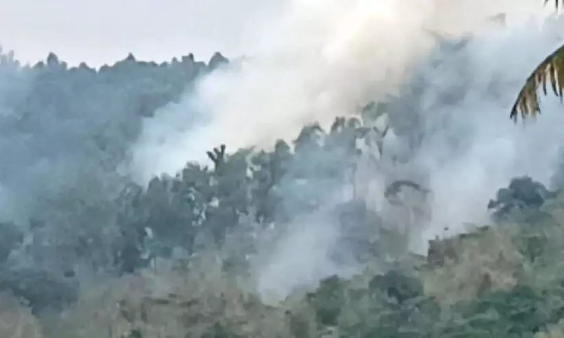 ആര്യങ്കാവിൽ യൂക്കാലി തോട്ടത്തിൽ തീപിടിച്ച് നാശം