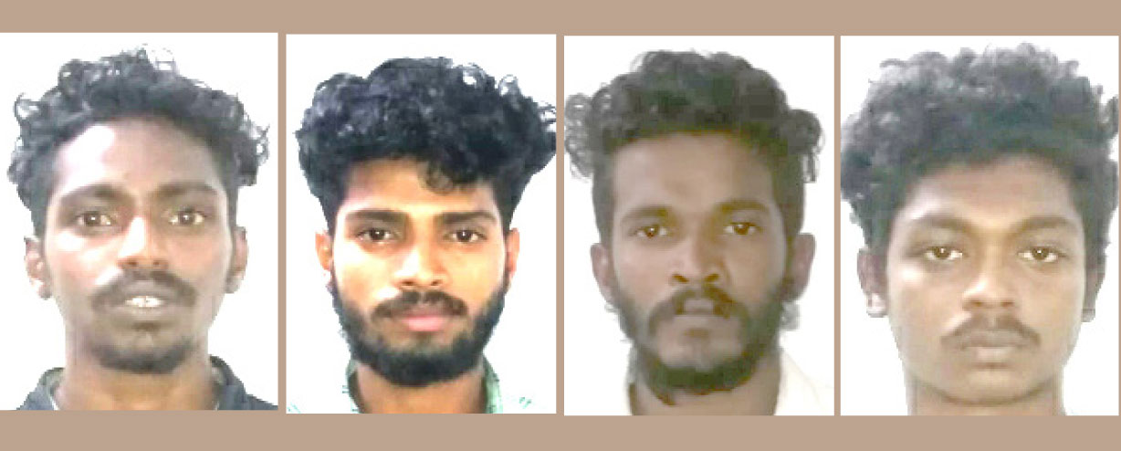 Four arrested for possession of cannabis Four arrested for possession of cannabis