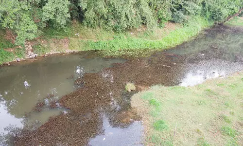 വെള്ളമില്ല, കുടിക്കാനും നനക്കാനും