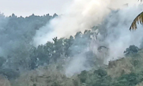 ആര്യങ്കാവിൽ യൂക്കാലി തോട്ടത്തിൽ തീപിടിച്ച് നാശം