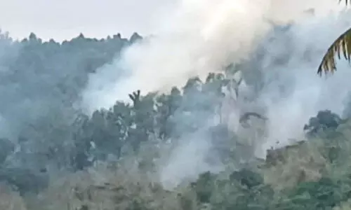 ആര്യങ്കാവിൽ യൂക്കാലി തോട്ടത്തിൽ തീപിടിച്ച് നാശം