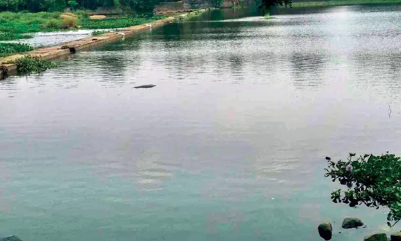 മു​ങ്ങിമ​ര​ണം: മു​ട്ടി​ക്ക​ട​വ് ത​ട​യ​ണ​യി​ലേ​ക്ക് സ​ന്ദ​ർ​ശ​ക​രെ നി​യ​ന്ത്രി​ക്ക​ണ​മെ​ന്ന്