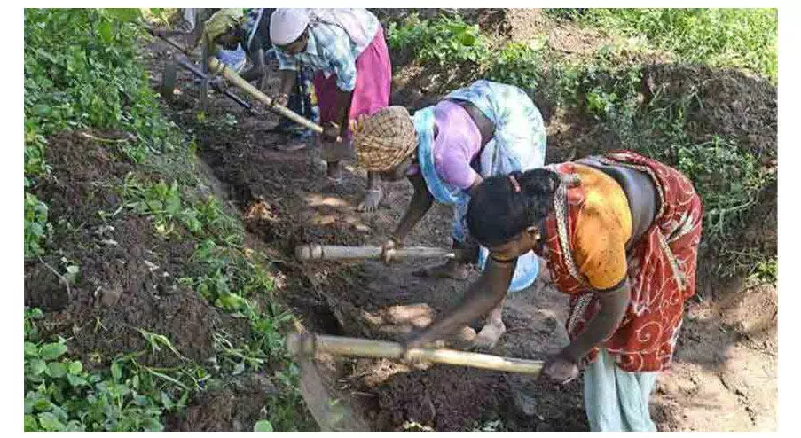 തൊഴിലുറപ്പ് പദ്ധതി; കോടോം-ബേളൂര് കാസർകോട് ജില്ലയില് ഒന്നാമത് തൊഴിലുറപ്പ് പദ്ധതി; കോടോം-ബേളൂര് കാസർകോട് ജില്ലയില് ഒന്നാമത്