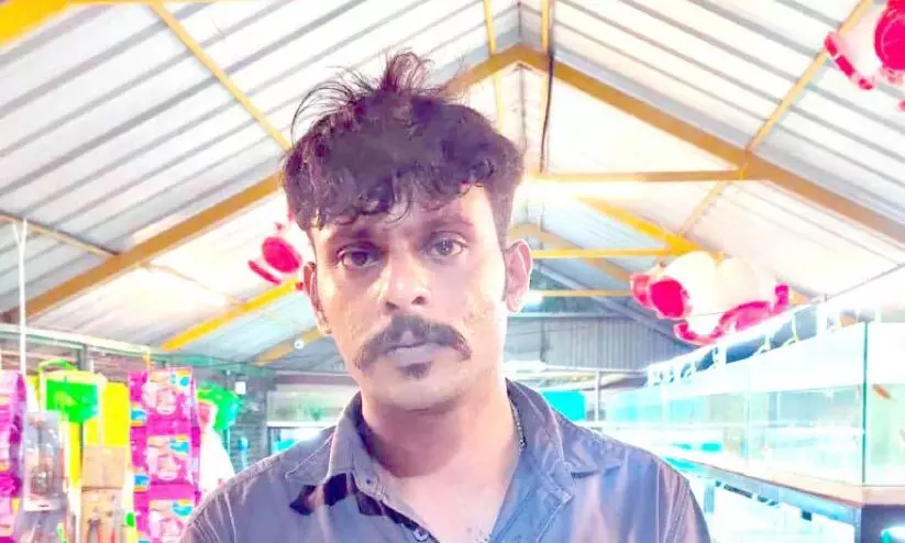 പേർഷ്യൻ പൂച്ചകളെ മോഷ്ടിച്ച പ്രതി പിടിയിൽ പേർഷ്യൻ പൂച്ചകളെ മോഷ്ടിച്ച പ്രതി പിടിയിൽ