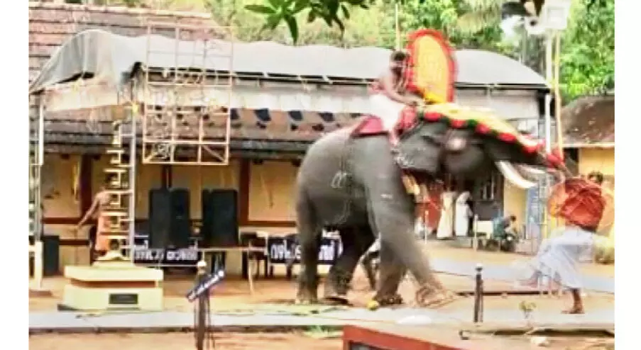 ക്ഷേ​ത്രോ​ത്സ​വ​ത്തി​ന് കൊ​ണ്ടു​വ​ന്ന ആ​ന പാ​പ്പാ​നെ ത​ട്ടി​ത്തെ​റി​പ്പി​ച്ചു