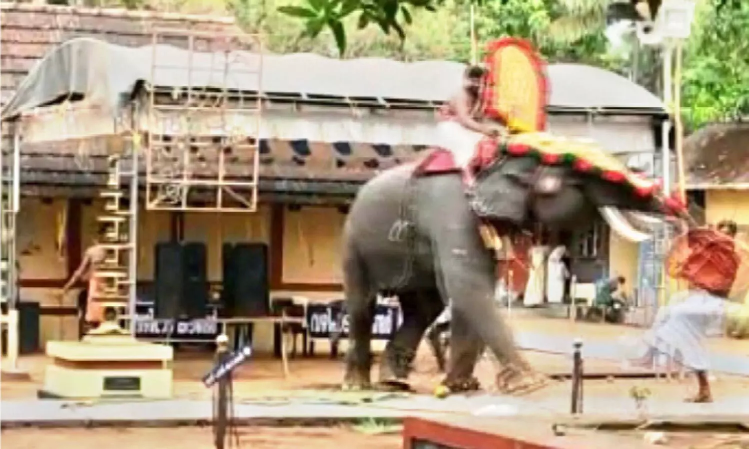 ക്ഷേ​ത്രോ​ത്സ​വ​ത്തി​ന് കൊ​ണ്ടു​വ​ന്ന ആ​ന പാ​പ്പാ​നെ ത​ട്ടി​ത്തെ​റി​പ്പി​ച്ചു