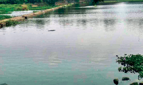 മു​ങ്ങിമ​ര​ണം: മു​ട്ടി​ക്ക​ട​വ് ത​ട​യ​ണ​യി​ലേ​ക്ക് സ​ന്ദ​ർ​ശ​ക​രെ നി​യ​ന്ത്രി​ക്ക​ണ​മെ​ന്ന്