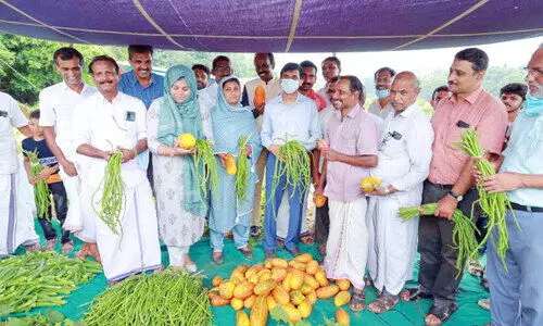ഭിന്നശേഷിക്കാരുടെ കൃഷിയിടത്തിൽ ജില്ല കലക്ടറും സബ് ജഡ്ജിയും