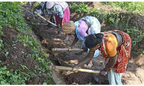 തൊഴിലുറപ്പ് പദ്ധതി; കോടോം-ബേളൂര്‍ കാസർകോട് ജില്ലയില്‍ ഒന്നാമത്