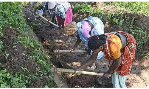 തൊഴിലുറപ്പ് പദ്ധതി; കോടോം-ബേളൂര്‍ കാസർകോട് ജില്ലയില്‍ ഒന്നാമത്