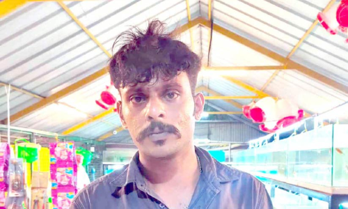 പേർഷ്യൻ പൂച്ചകളെ മോഷ്ടിച്ച  പ്രതി പിടിയിൽ