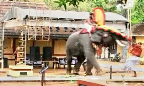 ക്ഷേ​ത്രോ​ത്സ​വ​ത്തി​ന് കൊ​ണ്ടു​വ​ന്ന ആ​ന പാ​പ്പാ​നെ ത​ട്ടി​ത്തെ​റി​പ്പി​ച്ചു