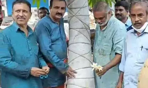 സാമൂഹിക വിരുദ്ധർ നശിപ്പിക്കാൻ ശ്രമിച്ച മരത്തിന് പ്രകൃതി ചികിത്സ നൽകി സാമൂഹിക വിരുദ്ധർ നശിപ്പിക്കാൻ ശ്രമിച്ച മരത്തിന് പ്രകൃതി ചികിത്സ നൽകി