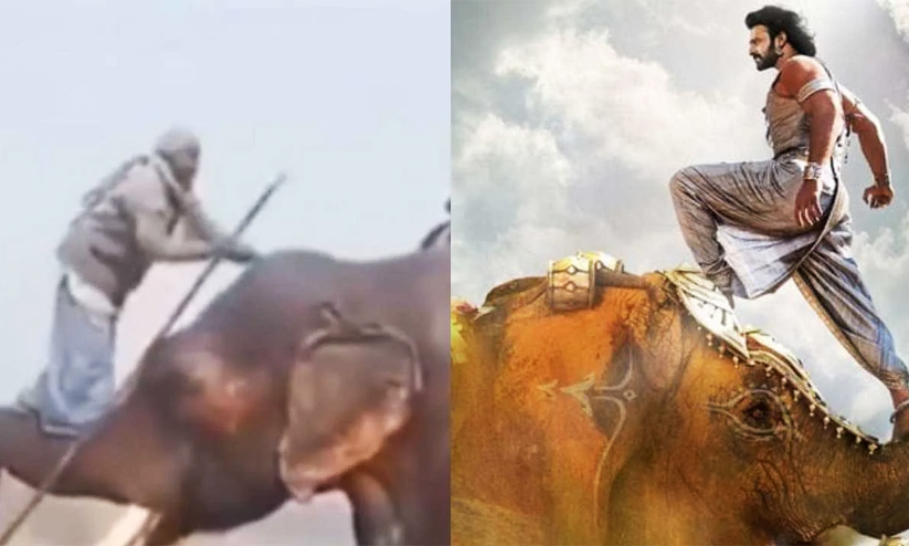 ബാഹുബലി സ്റ്റൈലിൽ ആനപ്പുറത്ത് കയറി പാപ്പാന്‍, വീഡിയോ വൈറൽ