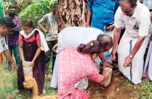 ബി.ജെ.പിക്കാർക്കൊപ്പം വീട്ടമ്മ കെ റെയിൽ കല്ല് പിഴുതു; സി.പി.എമ്മുകാർക്കൊപ്പം പുനഃസ്ഥാപിച്ചു