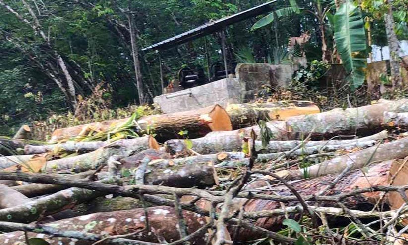 ആട്ടുകാല്‍ പനവൂര്‍ റോഡുനിര്‍മ്മാണത്തിന്റെ മറവില്‍ കടത്താനായി മുറിച്ചിട്ട മരങ്ങള്‍