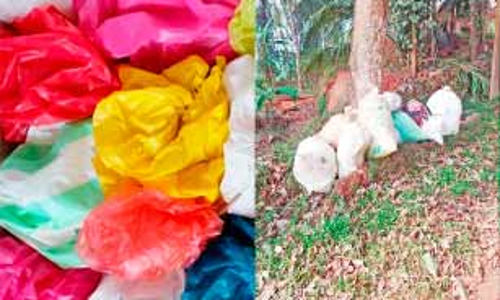 പ്ലാസ്റ്റിക് മാലിന്യ ശേഖരണത്തിന് തോന്നിയ നിരക്ക്; മാലിന്യമില്ലെങ്കിലും വരിസംഖ്യ നൽകണം