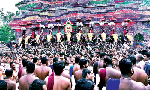 Nemmara vela with eyes, ears and mind full